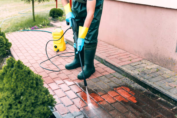 Local Pressure Washing Services in Colfax, LA